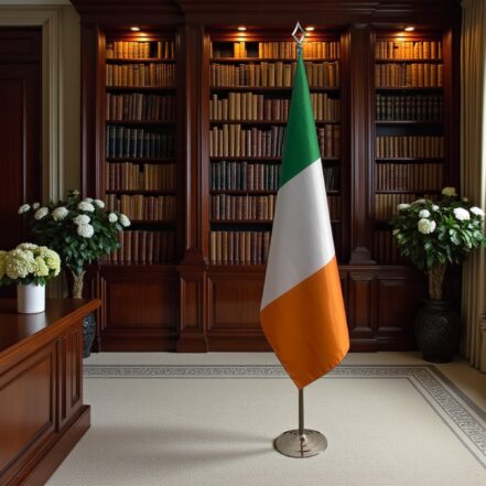 suport steag irlanda