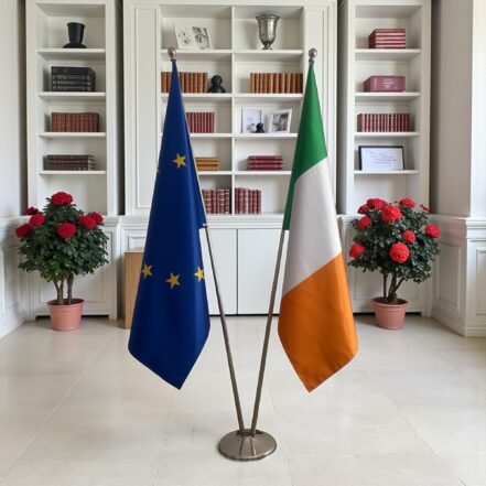 suport steag irlanda