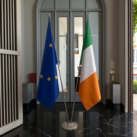 suport steag irlanda