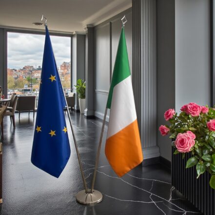 suport steag irlanda