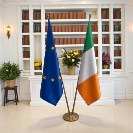 suport steag irlanda