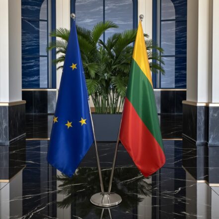 suport steag lituania