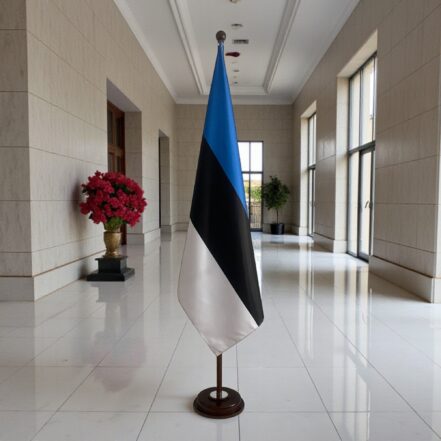 suport steag estonia