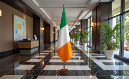 suport steag irlanda