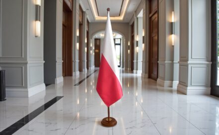 suport steag polonia