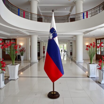 suport steag slovenia